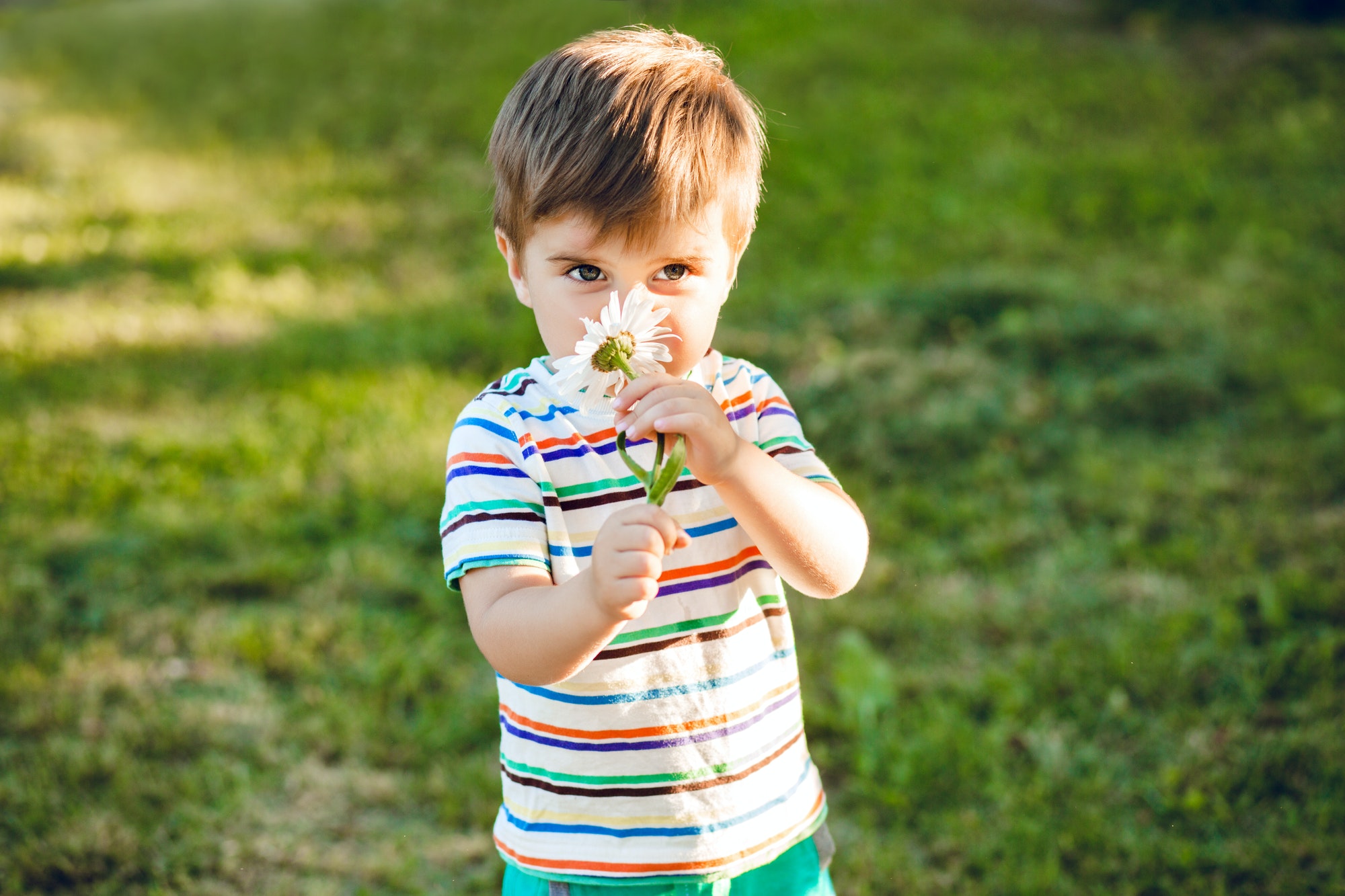 Little cute boy smelling a flower in summer garden and looks happy