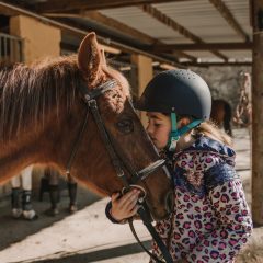 Cute little girl in helmet kissing a white horse while standing near stalls in stable during horseback riding lesson on ranch